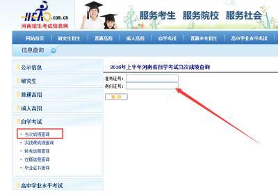 河南自學考試成績查詢入口